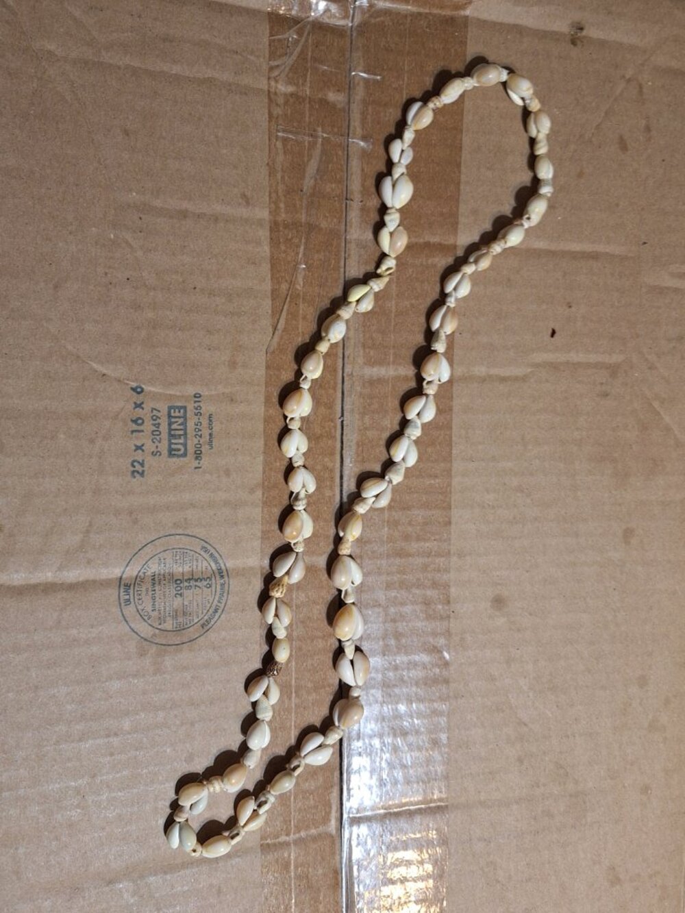 shell necklace - Picture 9 of 12